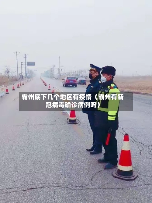 霸州底下几个地区有疫情（霸州有新冠病毒确诊病例吗）