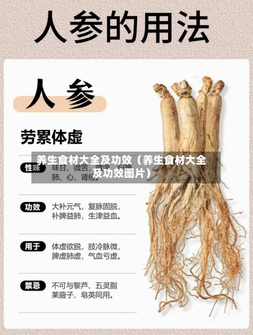 养生食材大全及功效（养生食材大全及功效图片）