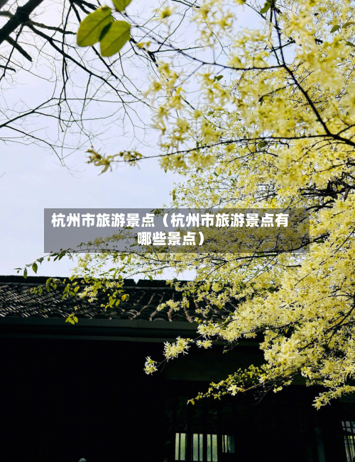 杭州市旅游景点（杭州市旅游景点有哪些景点）