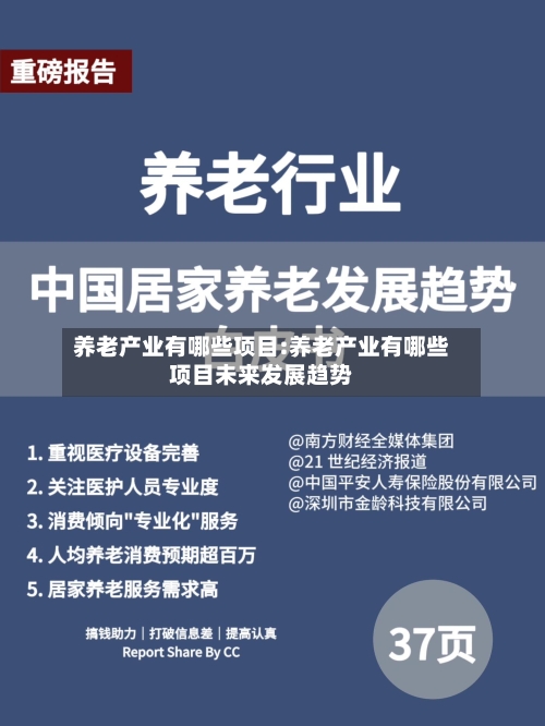 养老产业有哪些项目:养老产业有哪些项目未来发展趋势