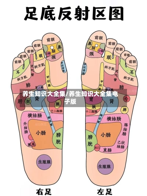 养生知识大全集/养生知识大全集电子版