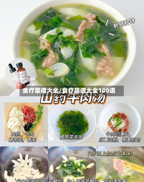 食疗菜谱大全/食疗菜谱大全100道