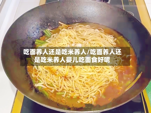 吃面养人还是吃米养人/吃面养人还是吃米养人婴儿吃面食好呢