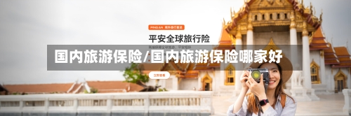国内旅游保险/国内旅游保险哪家好