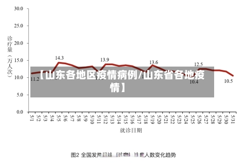 【山东各地区疫情病例/山东省各地疫情】