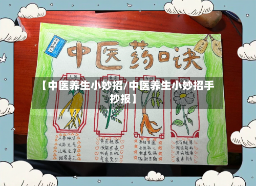 【中医养生小妙招/中医养生小妙招手抄报】
