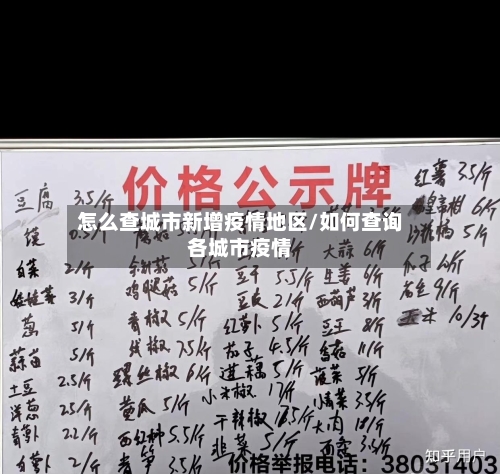 怎么查城市新增疫情地区/如何查询各城市疫情