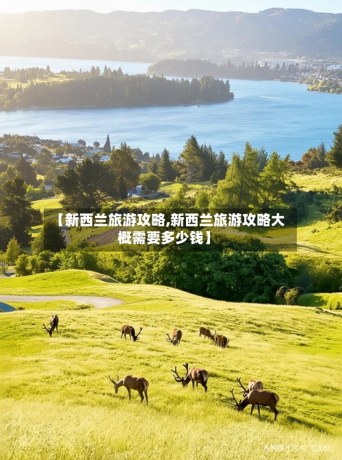 【新西兰旅游攻略,新西兰旅游攻略大概需要多少钱】