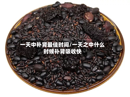 一天中补肾最佳时间/一天之中什么时候补肾吸收快