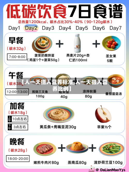 【人一天摄入营养标准,人一天摄入营养比例】