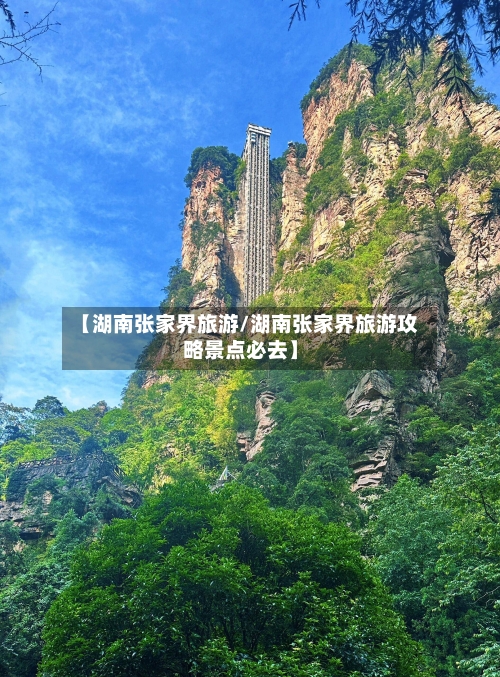 【湖南张家界旅游/湖南张家界旅游攻略景点必去】