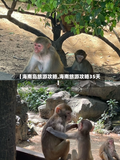 【海南岛旅游攻略,海南旅游攻略35天】