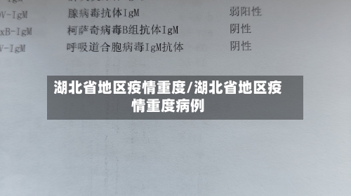湖北省地区疫情重度/湖北省地区疫情重度病例