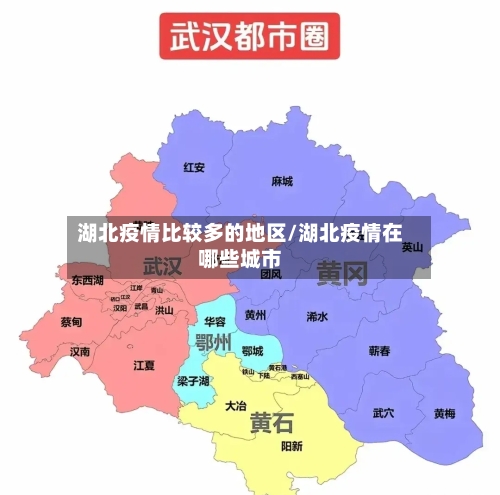 湖北疫情比较多的地区/湖北疫情在哪些城市