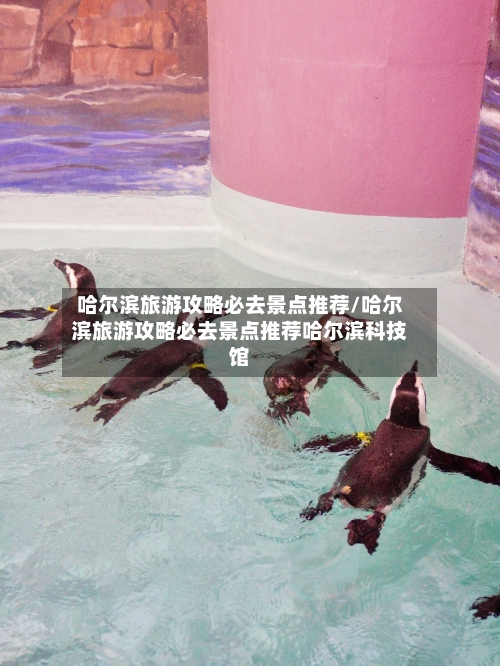 哈尔滨旅游攻略必去景点推荐/哈尔滨旅游攻略必去景点推荐哈尔滨科技馆
