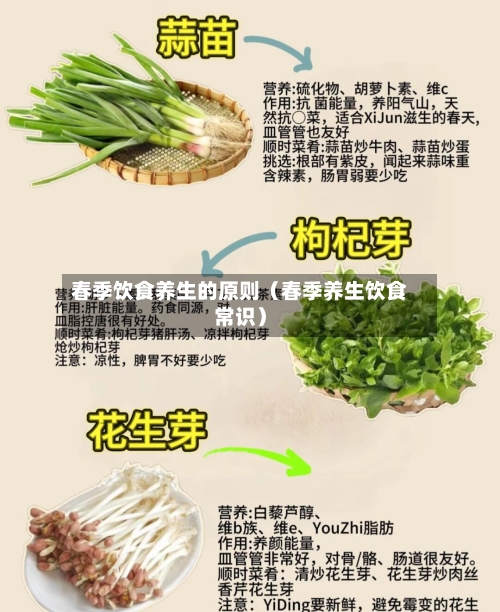 春季饮食养生的原则（春季养生饮食常识）