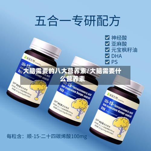 大脑需要的八大营养素/大脑需要什么营养素