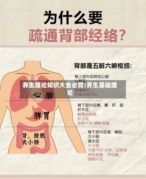 养生理论知识大全必背:养生基础理论