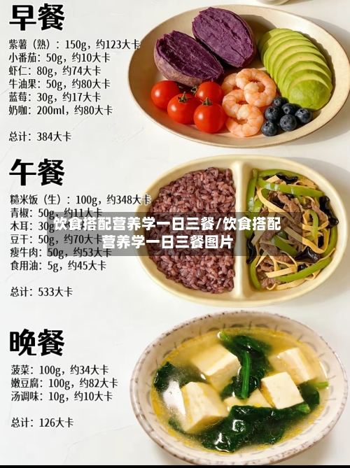 饮食搭配营养学一日三餐/饮食搭配营养学一日三餐图片