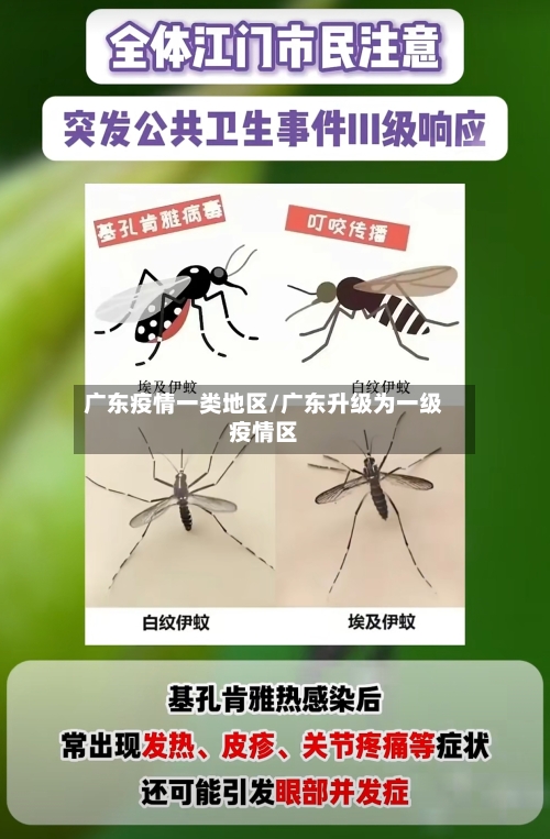 广东疫情一类地区/广东升级为一级疫情区