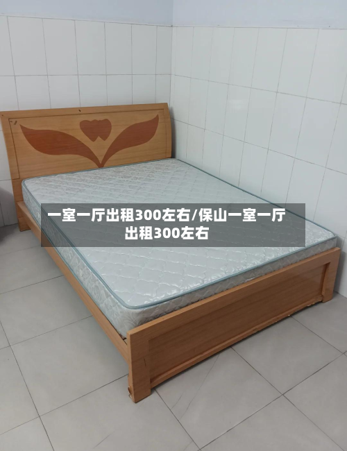 一室一厅出租300左右/保山一室一厅出租300左右-第1张图片