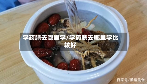 学药膳去哪里学/学药膳去哪里学比较好