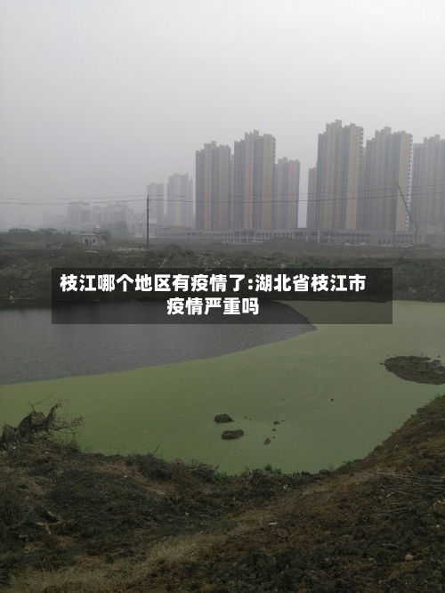枝江哪个地区有疫情了:湖北省枝江市疫情严重吗-第1张图片