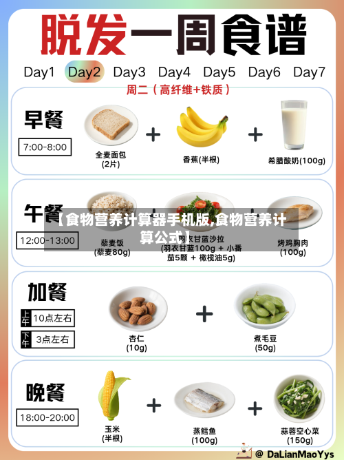 【食物营养计算器手机版,食物营养计算公式】-第1张图片