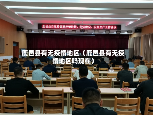 鹿邑县有无疫情地区(鹿邑县有无疫情地区吗现在)-第1张图片