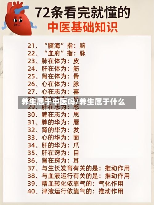 养生属于中医吗/养生属于什么-第1张图片