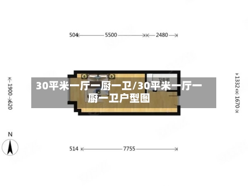 30平米一厅一厨一卫/30平米一厅一厨一卫户型图-第1张图片