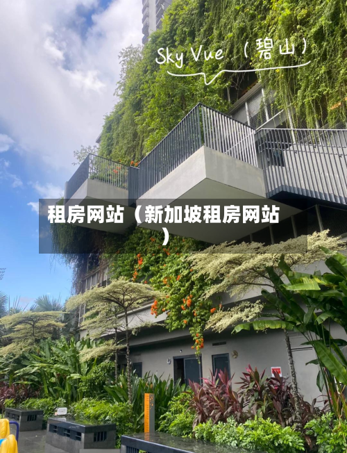 租房网站（新加坡租房网站）-第1张图片