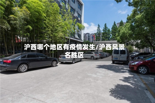 沪西哪个地区有疫情发生/沪西风景名胜区