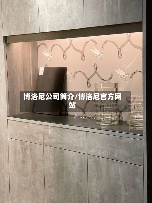 博洛尼公司简介/博洛尼官方网站-第1张图片