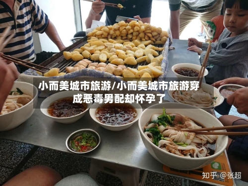 小而美城市旅游/小而美城市旅游穿成恶毒男配却怀孕了-第1张图片