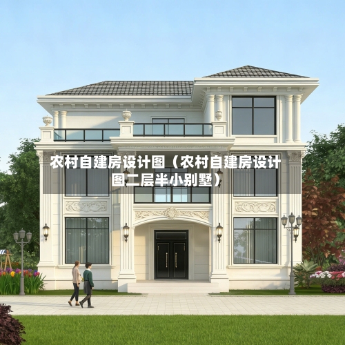 农村自建房设计图（农村自建房设计图二层半小别墅）-第1张图片