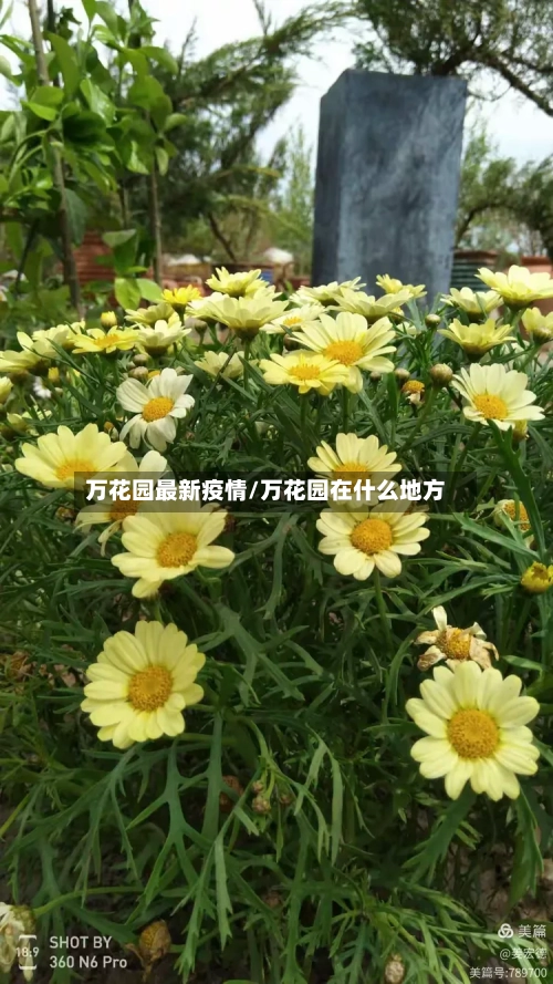 万花园最新疫情/万花园在什么地方