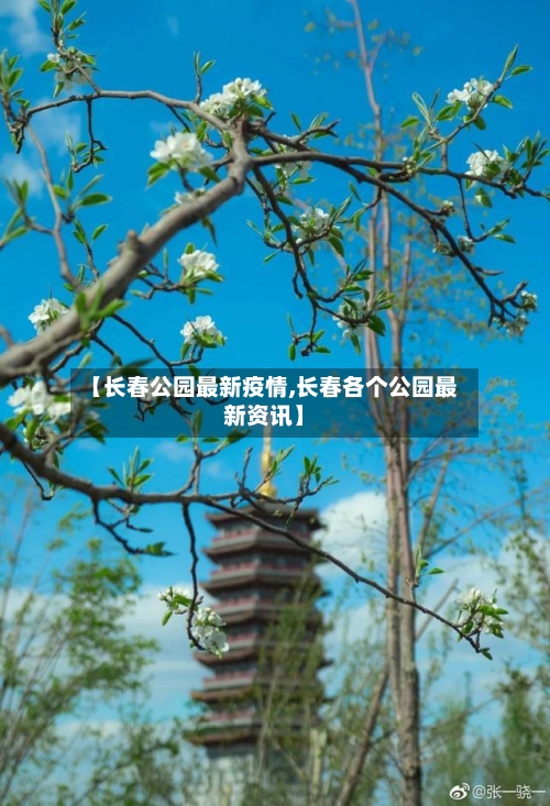 【长春公园最新疫情,长春各个公园最新资讯】