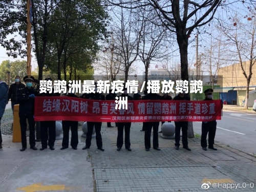鹦鹉洲最新疫情/播放鹦鹉洲-第1张图片