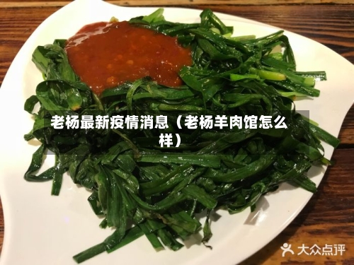 老杨最新疫情消息（老杨羊肉馆怎么样）-第1张图片
