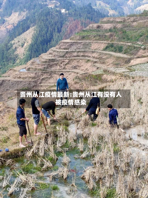 贵州从江疫情最新:贵州从江有没有人被疫情感染-第1张图片
