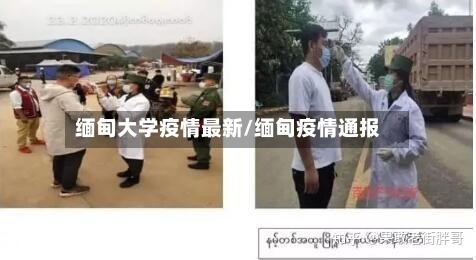 缅甸大学疫情最新/缅甸疫情通报