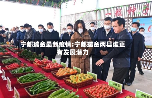 宁都瑞金最新疫情:宁都瑞金两县谁更有发展潜力