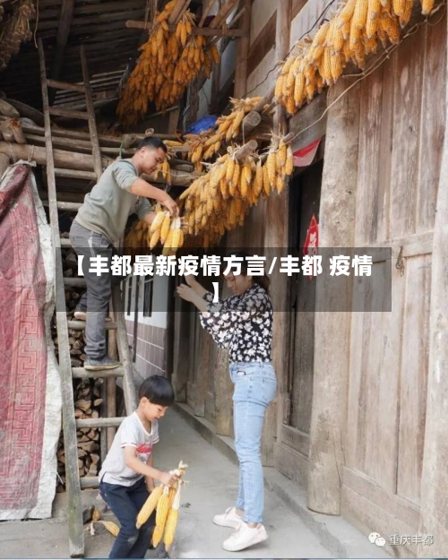 【丰都最新疫情方言/丰都 疫情】