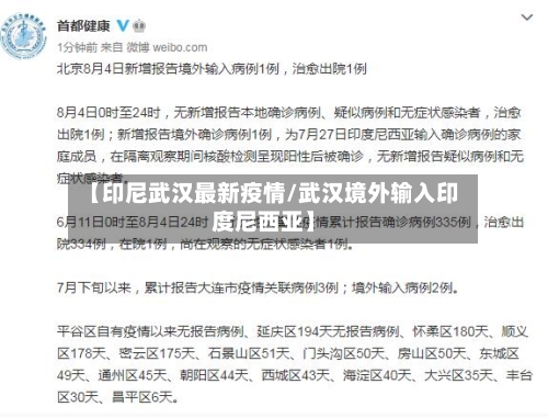 【印尼武汉最新疫情/武汉境外输入印度尼西亚】