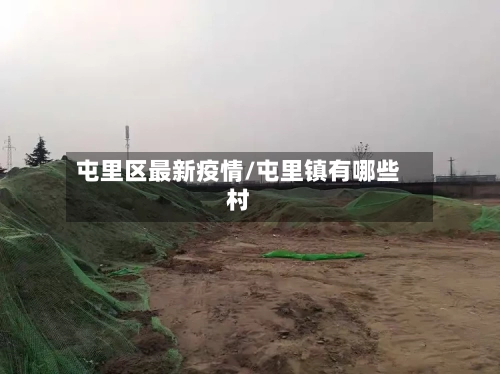 屯里区最新疫情/屯里镇有哪些村