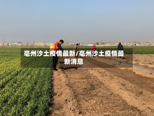 亳州沙土疫情最新/亳州沙土疫情最新消息