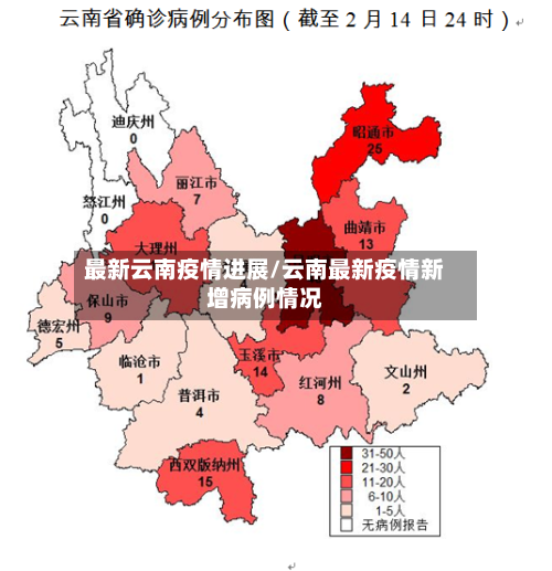 最新云南疫情进展/云南最新疫情新增病例情况-第1张图片