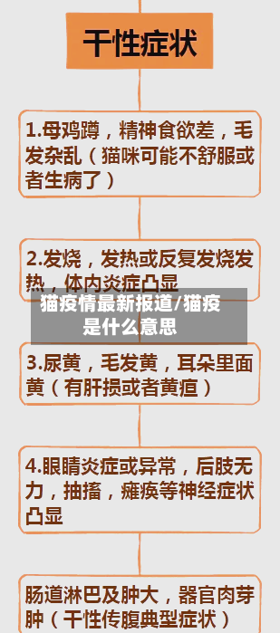 猫疫情最新报道/猫疫是什么意思