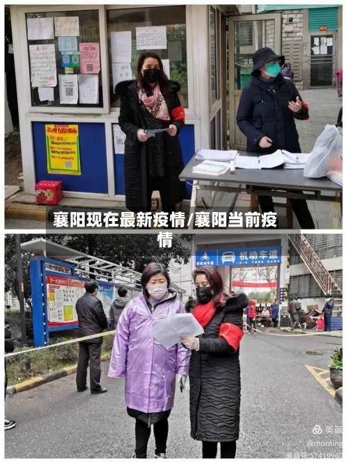 襄阳现在最新疫情/襄阳当前疫情